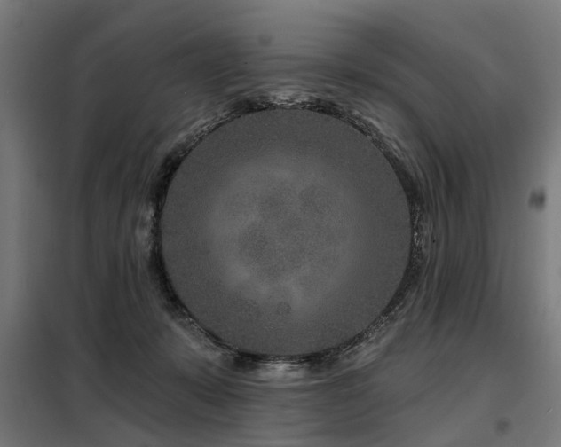 X0000098070319200804041131