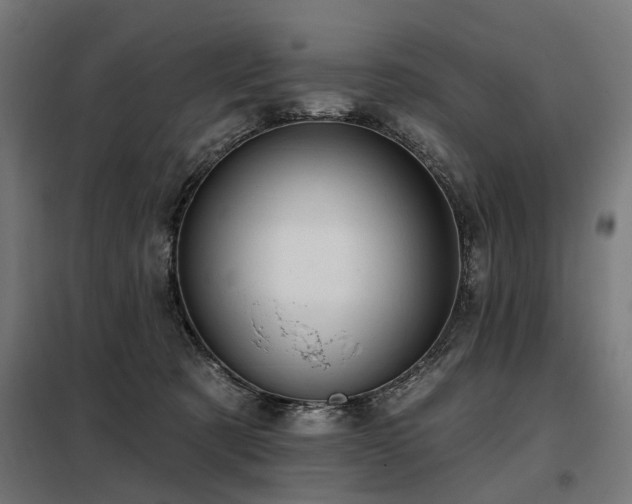 X0000098070321200804041131