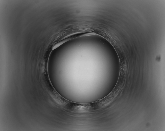 X0000098070323200804041131