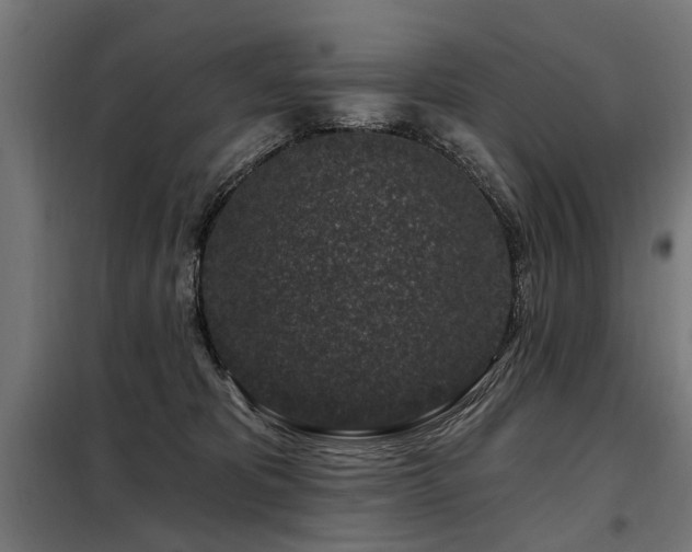 X0000098070325200804041131