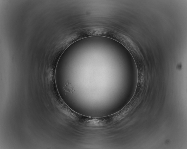 X0000098070326200804041131