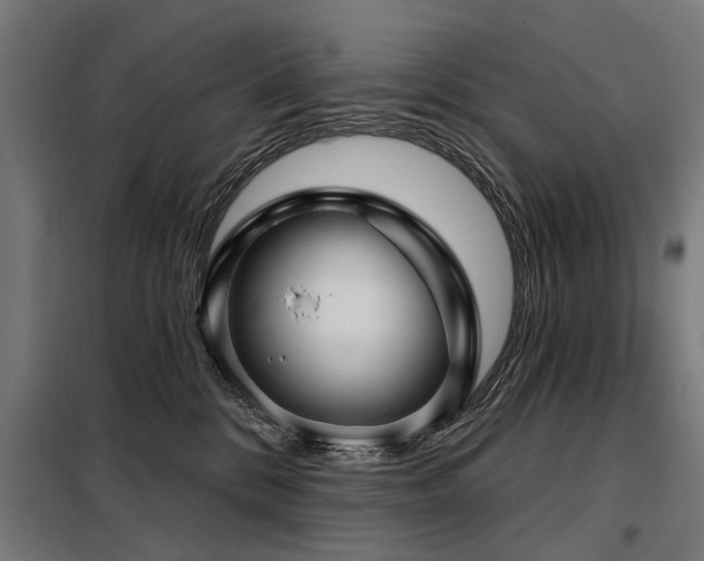 X0000098070328200804041131