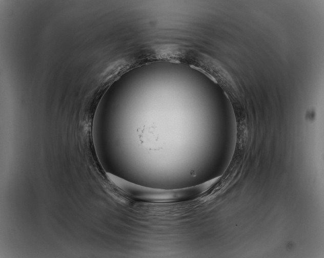 X0000098070329200804041131