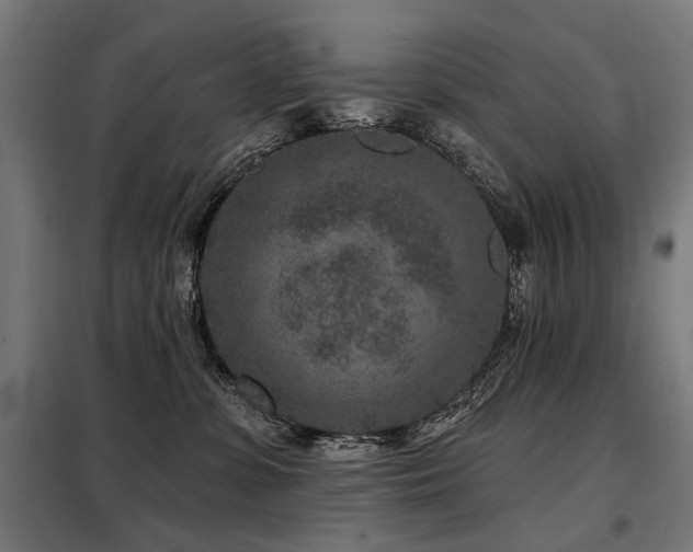 X0000098070331200804041130