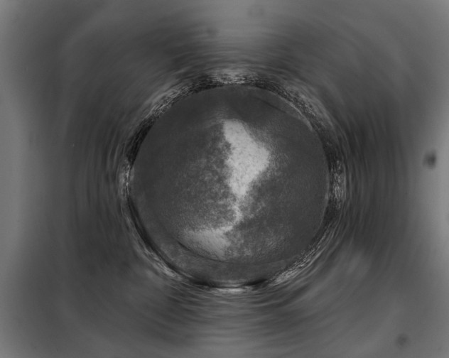 X0000098070332200804041130