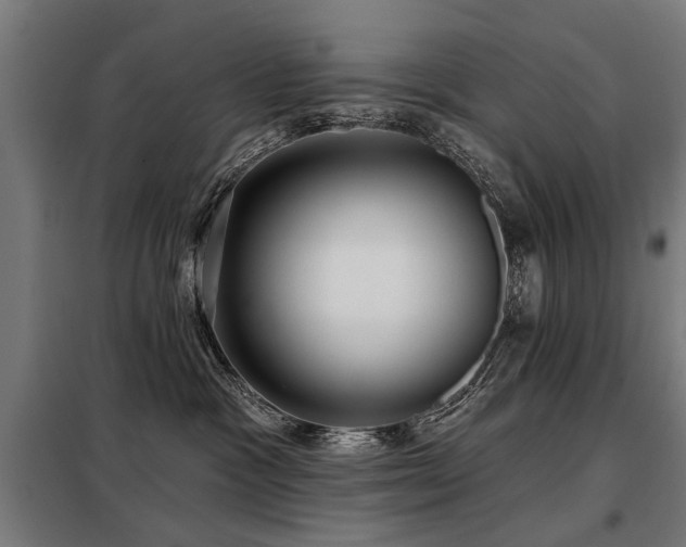 X0000098070333200804041130