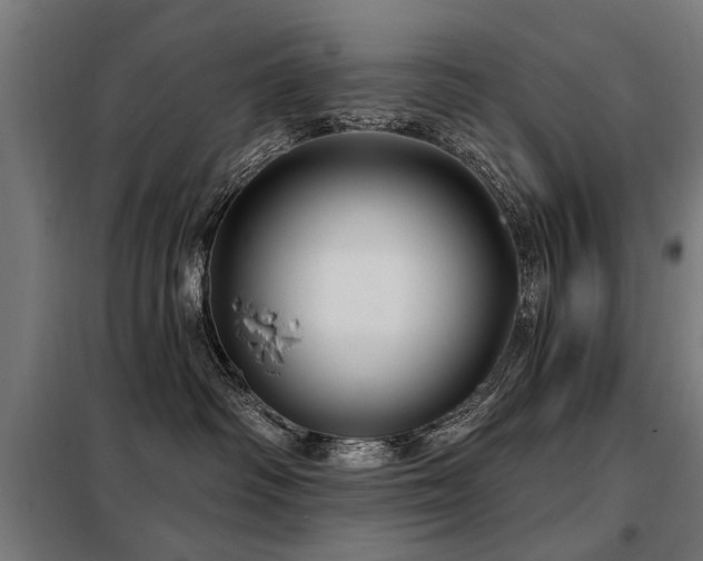 X0000098070334200804041130