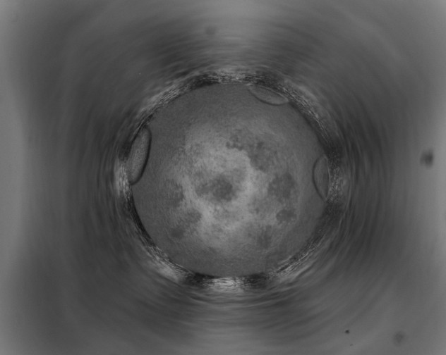 X0000098070335200804041130