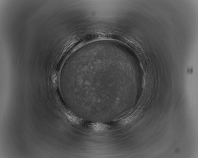 X0000098070336200804041130