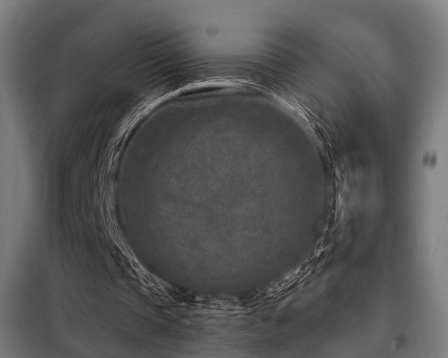 X0000098070337200804041130