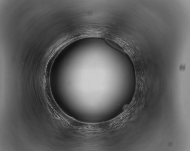 X0000098070338200804041130