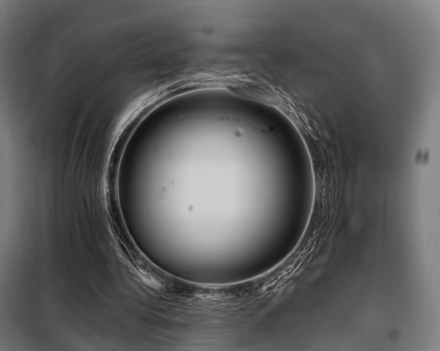 X0000098070340200804041130