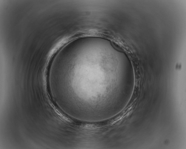 X0000098070341200804041130