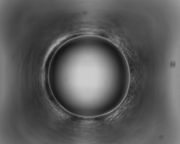 X0000098070342200804041130