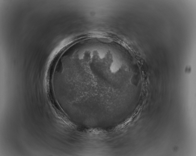 X0000098070343200804041130