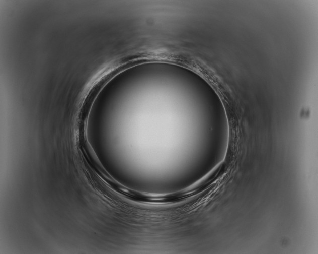 X0000098070344200804041130