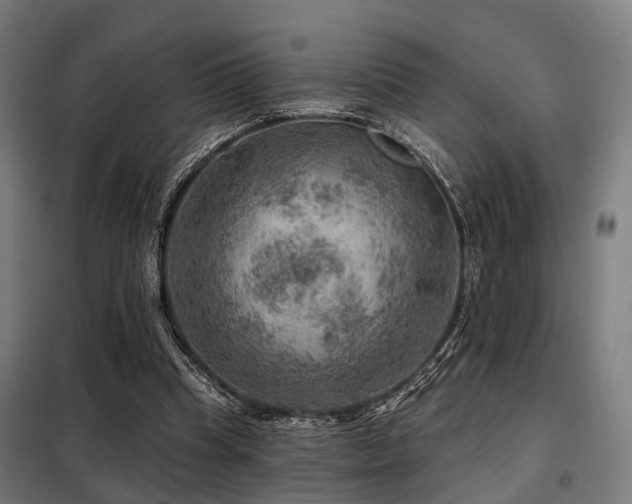 X0000098070345200804041130