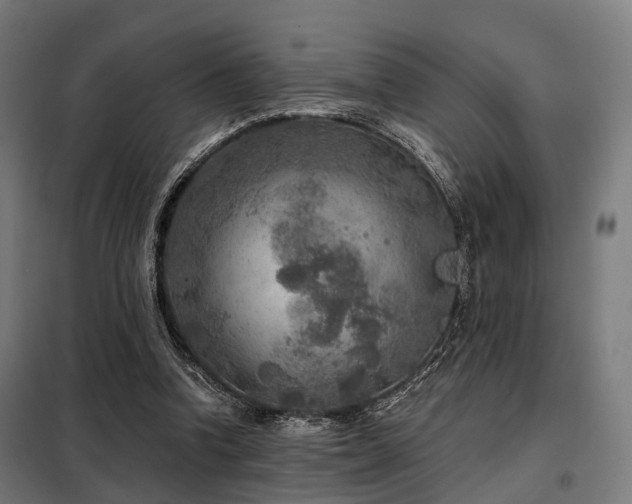 X0000098070346200804041130