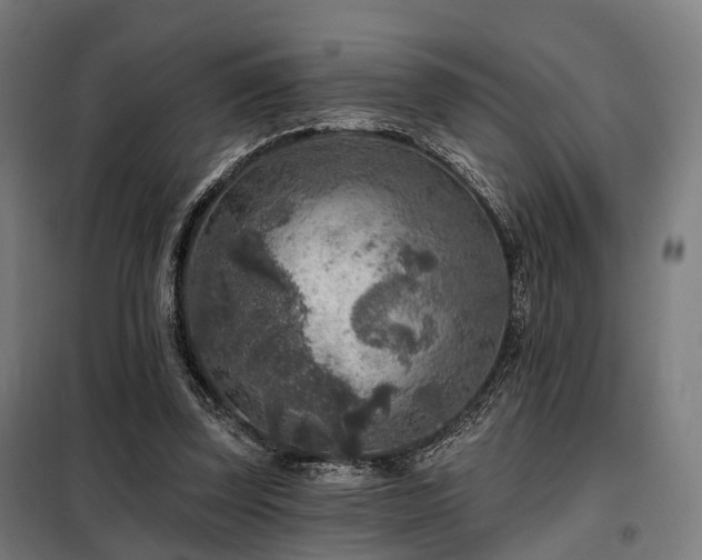 X0000098070347200804041130