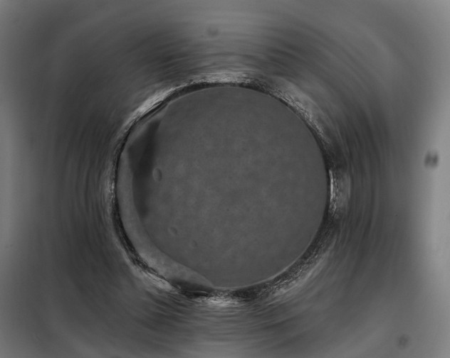 X0000098070348200804041130