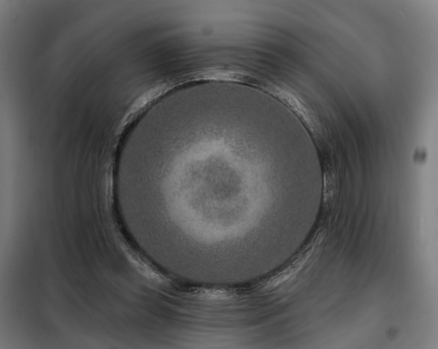 X0000098070349200804041130