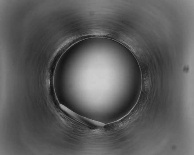 X0000098070350200804041130