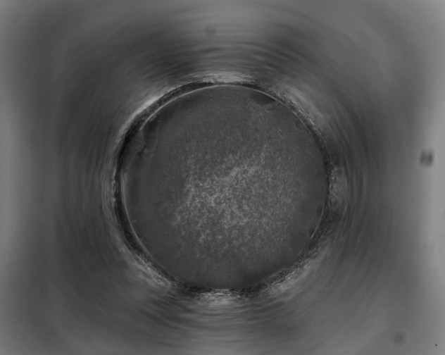 X0000098070351200804041130