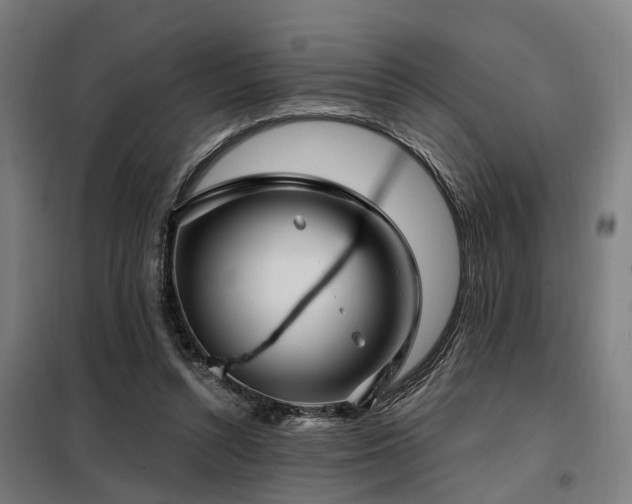 X0000098070352200804041130