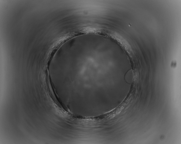 X0000098070353200804041130