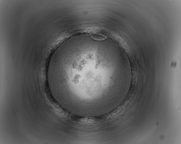 X0000098070354200804041130