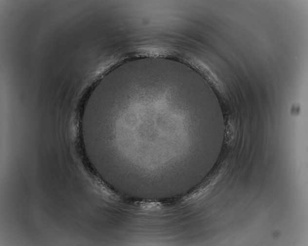 X0000098070355200804041130