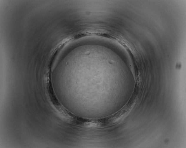 X0000098070356200804041130