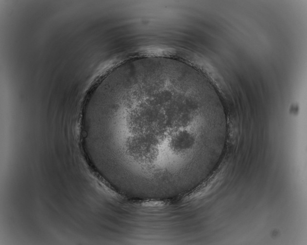 X0000098070357200804041130