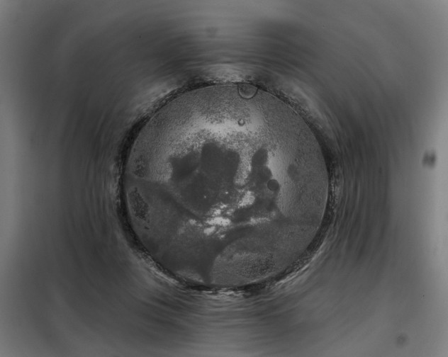 X0000098070359200804041130