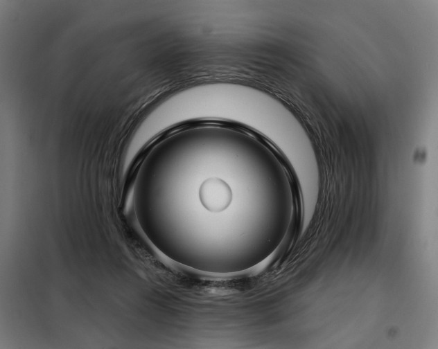 X0000098070360200804041130