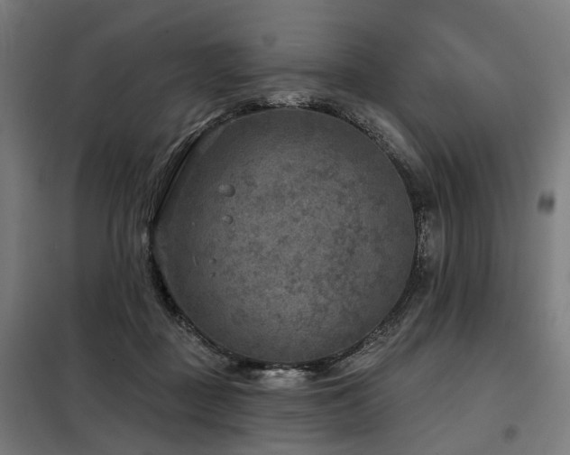 X0000098070363200804041130