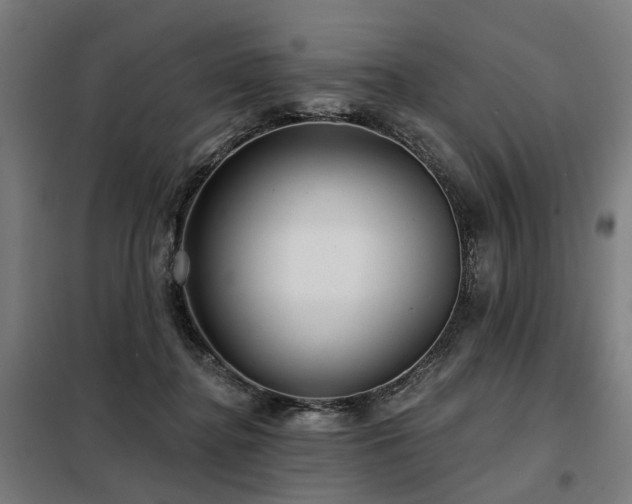 X0000098070364200804041130