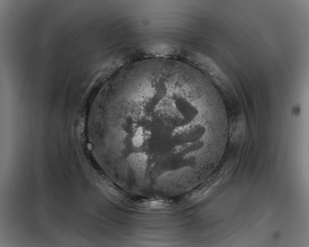 X0000098070365200804041130