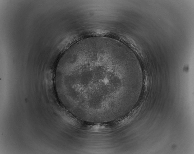 X0000098070366200804041130