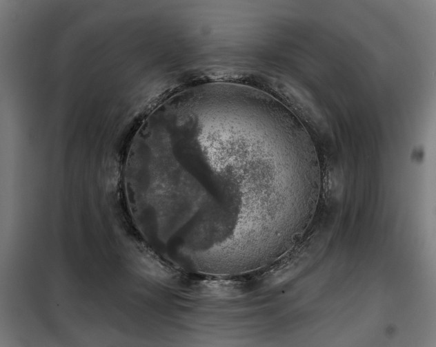 X0000098070367200804041130