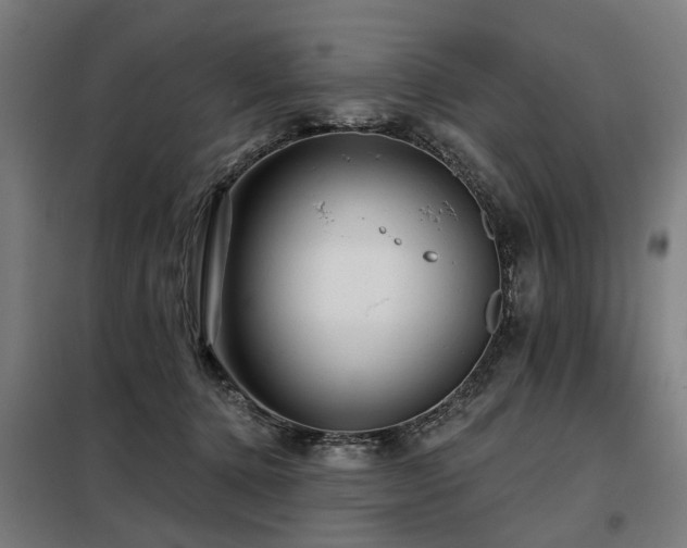 X0000098070368200804041130