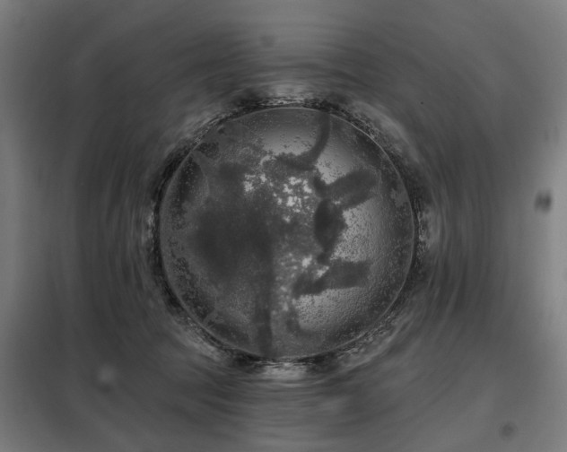 X0000098070369200804041130