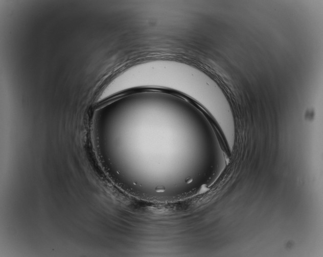 X0000098070370200804041130