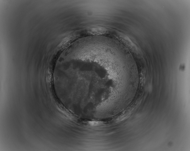 X0000098070371200804041130