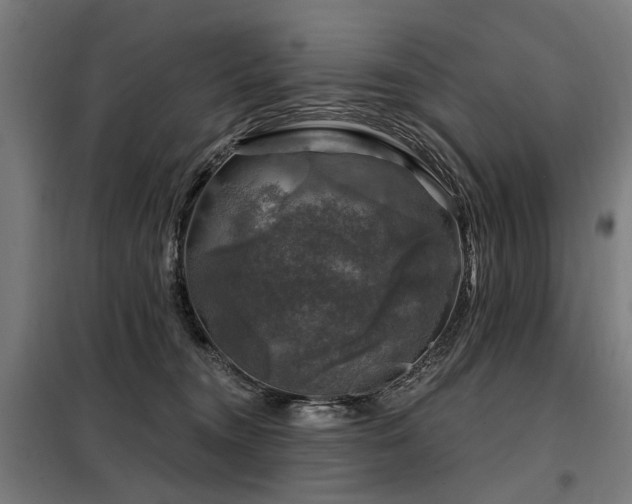 X0000098070372200804041130