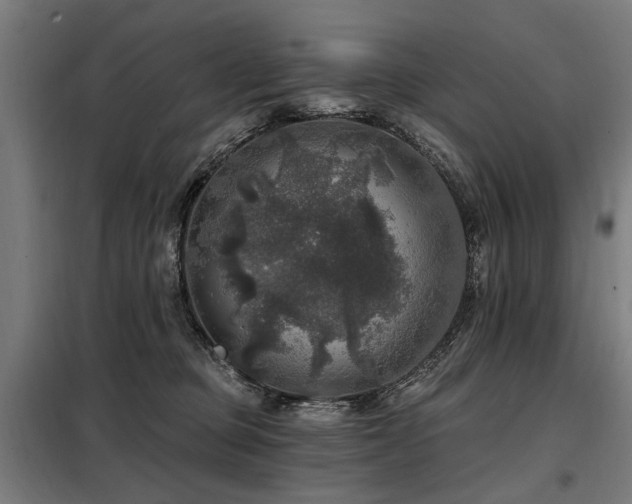 X0000098070373200804041130