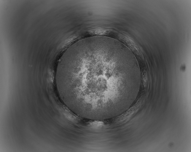 X0000098070374200804041130