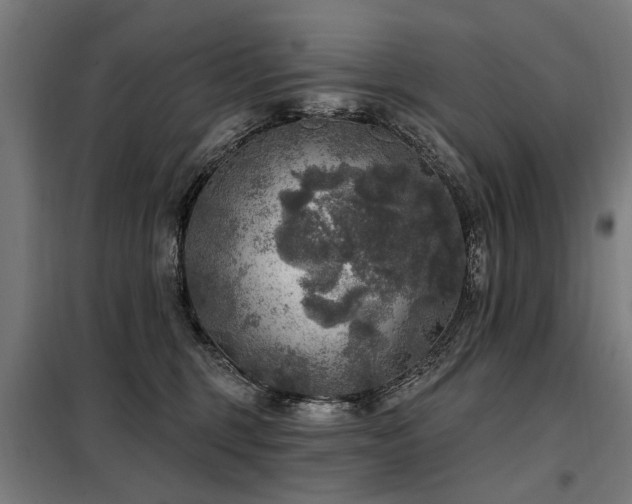 X0000098070375200804041130