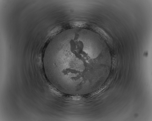 X0000098070377200804041130