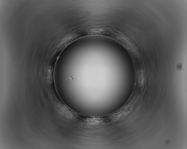 X0000098070378200804041130